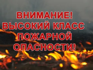 Экстренное предупреждение о вероятности возникновения ЧС на территории Нижегородской области на 06-12 мая 2025г. (высокая пожароопасность)